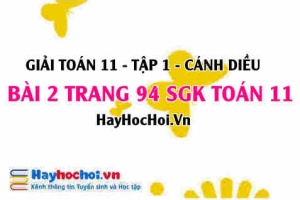 Giải bài 2 trang 94 Toán 11 tập 1 SGK Cánh Diều